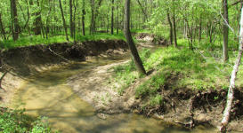 Biological Stream Delineations
